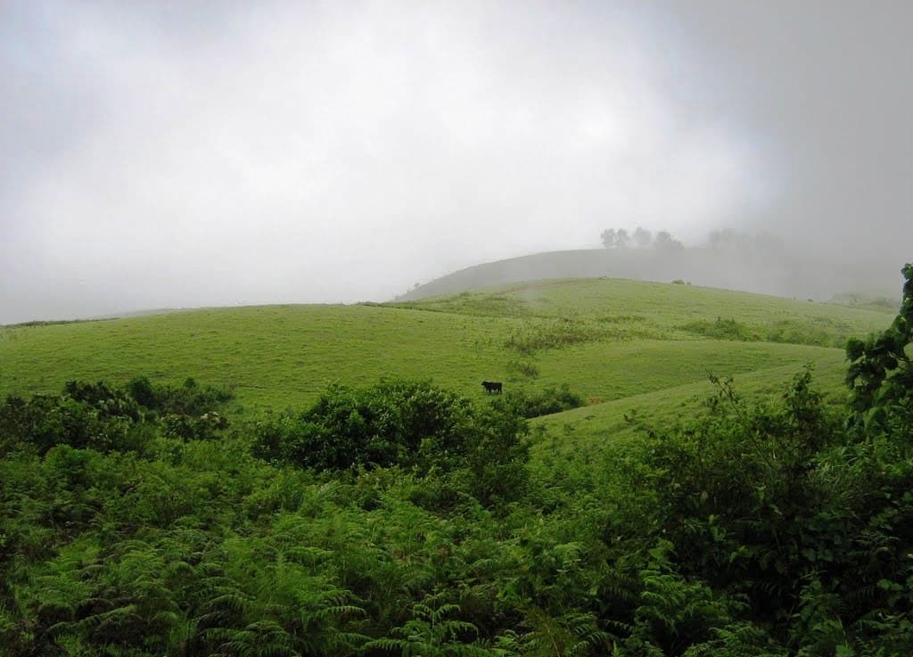 4 Days Vegamon Adventure Trip